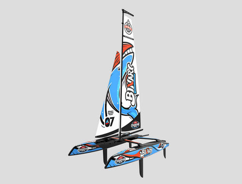 CATAMARAN BINARY V3 JOYSWAY RTR