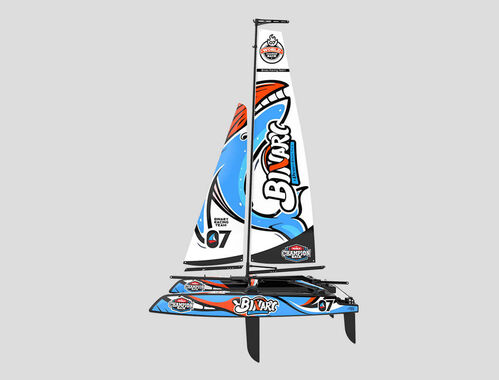 CATAMARAN BINARY V3 JOYSWAY RTR